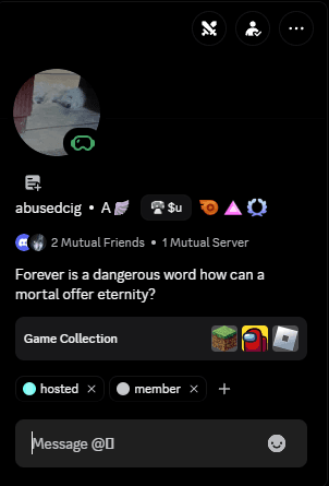 Discord profile managed with Ruin