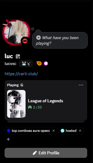 Discord profile with a custom presence