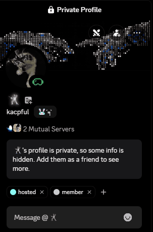 Private Discord profile managed with Ruin